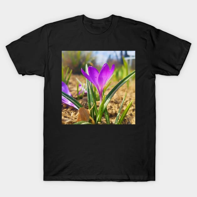 Purple Crocus Close Up T-Shirt by DesignMore21